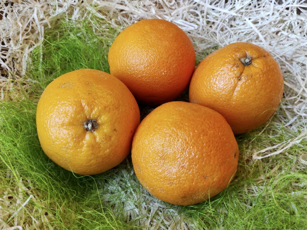 Orangen