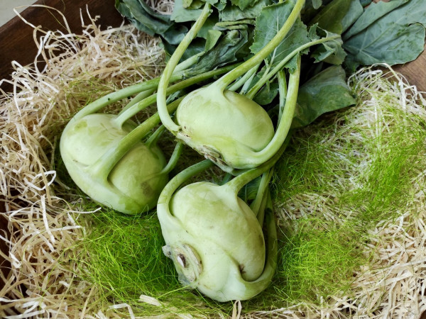 Kohlrabi