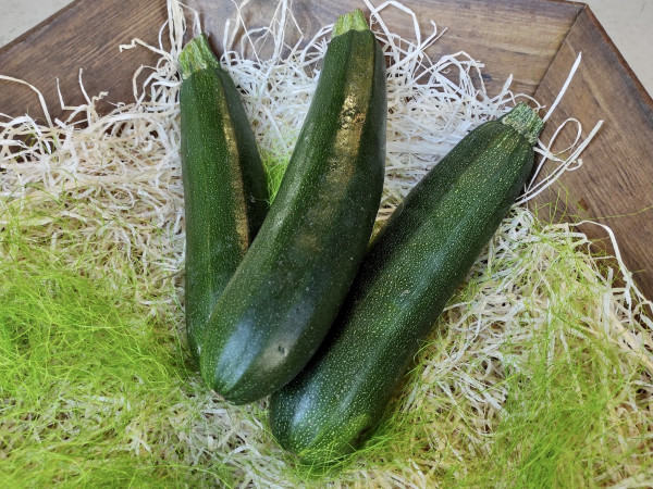 Zucchini