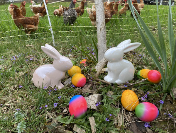 Ostereier bunt